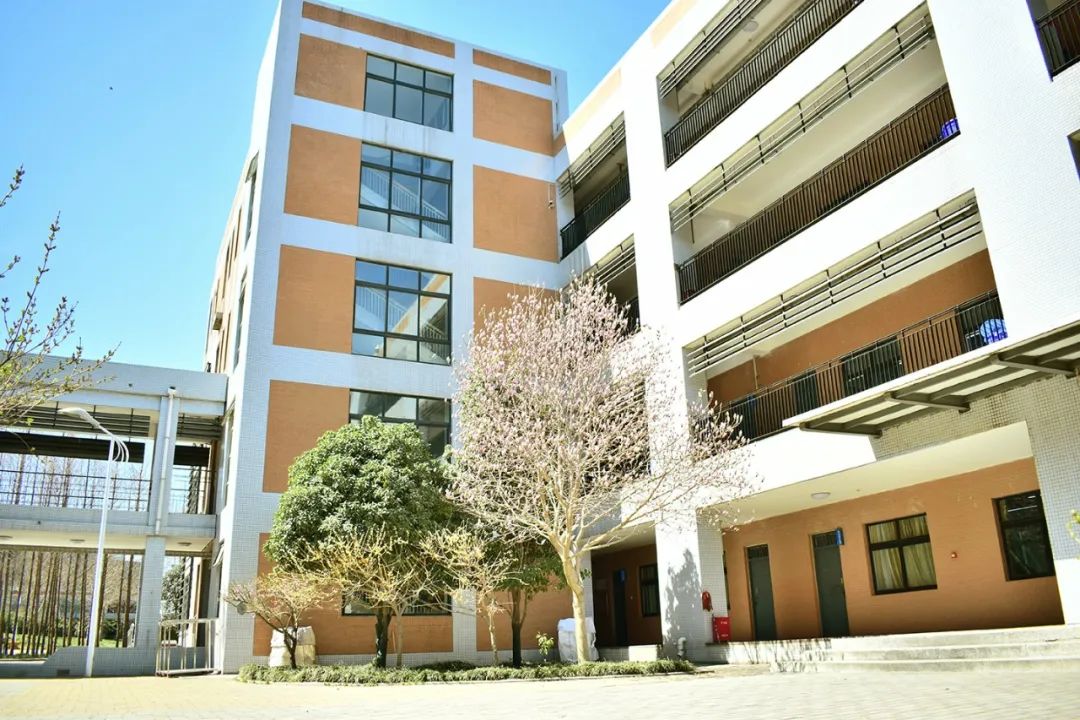 郑州高中top1,郑州top10高中