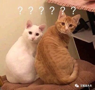 什么情况才能诊断为*泄早**？*泄早**要注意什么？