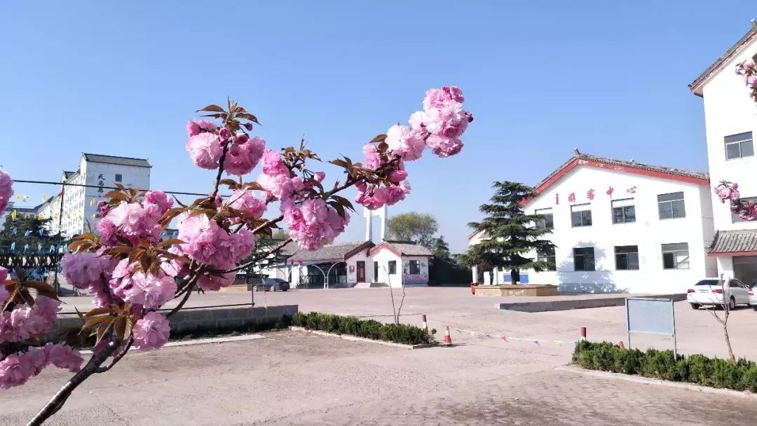 自由行吃喝攻略,旅行攻略之吃喝玩乐