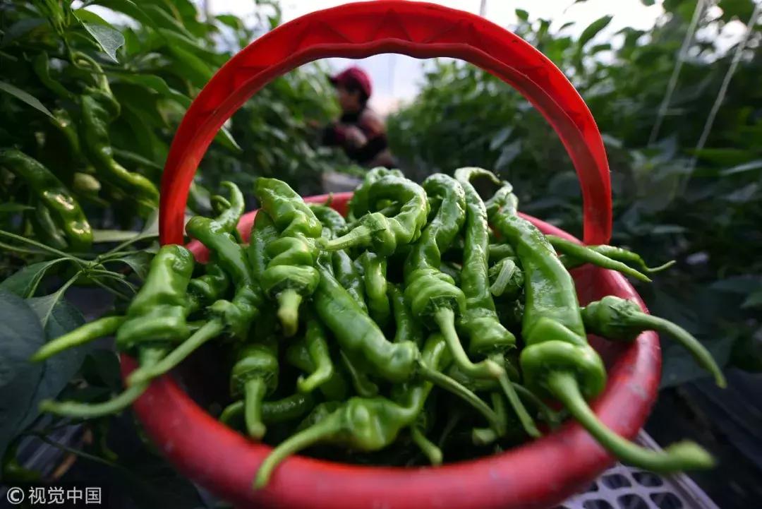 上火是谁惹的祸,上火的真相