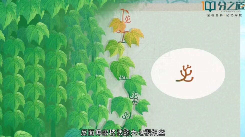 描写夏天的一篇作文5句话,描写夏天的作文诗句