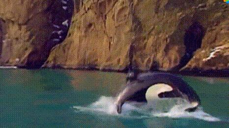 被囚34年取精，被迫亲手杀死爱子，最后只能挣扎着死去…