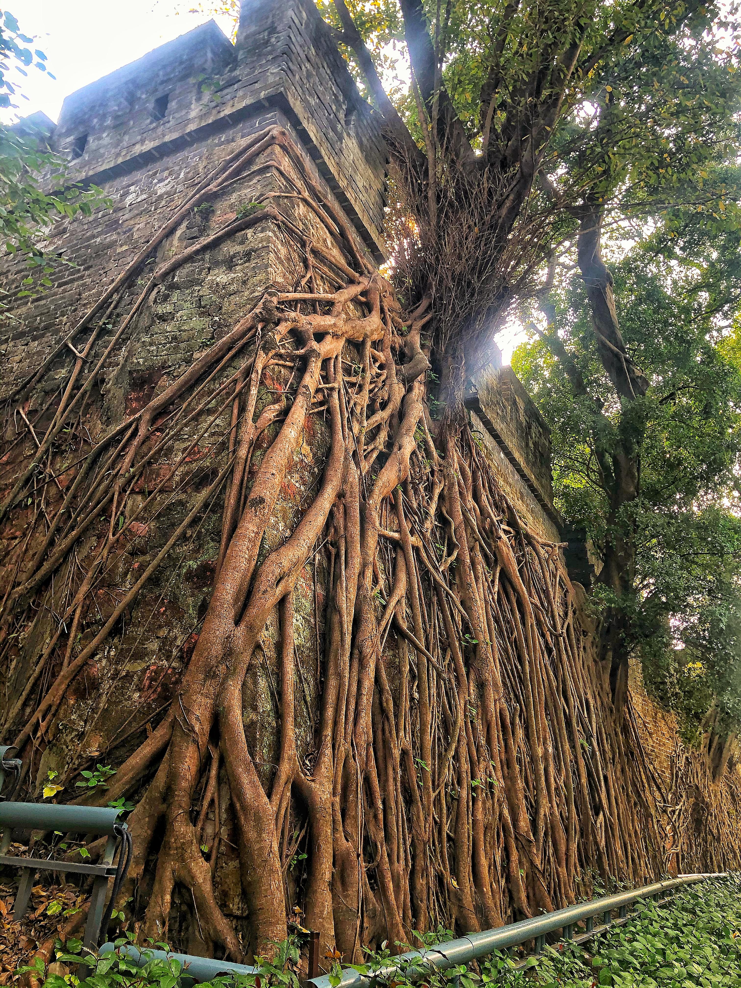 久违的越秀公园,越秀公园蓝天白云