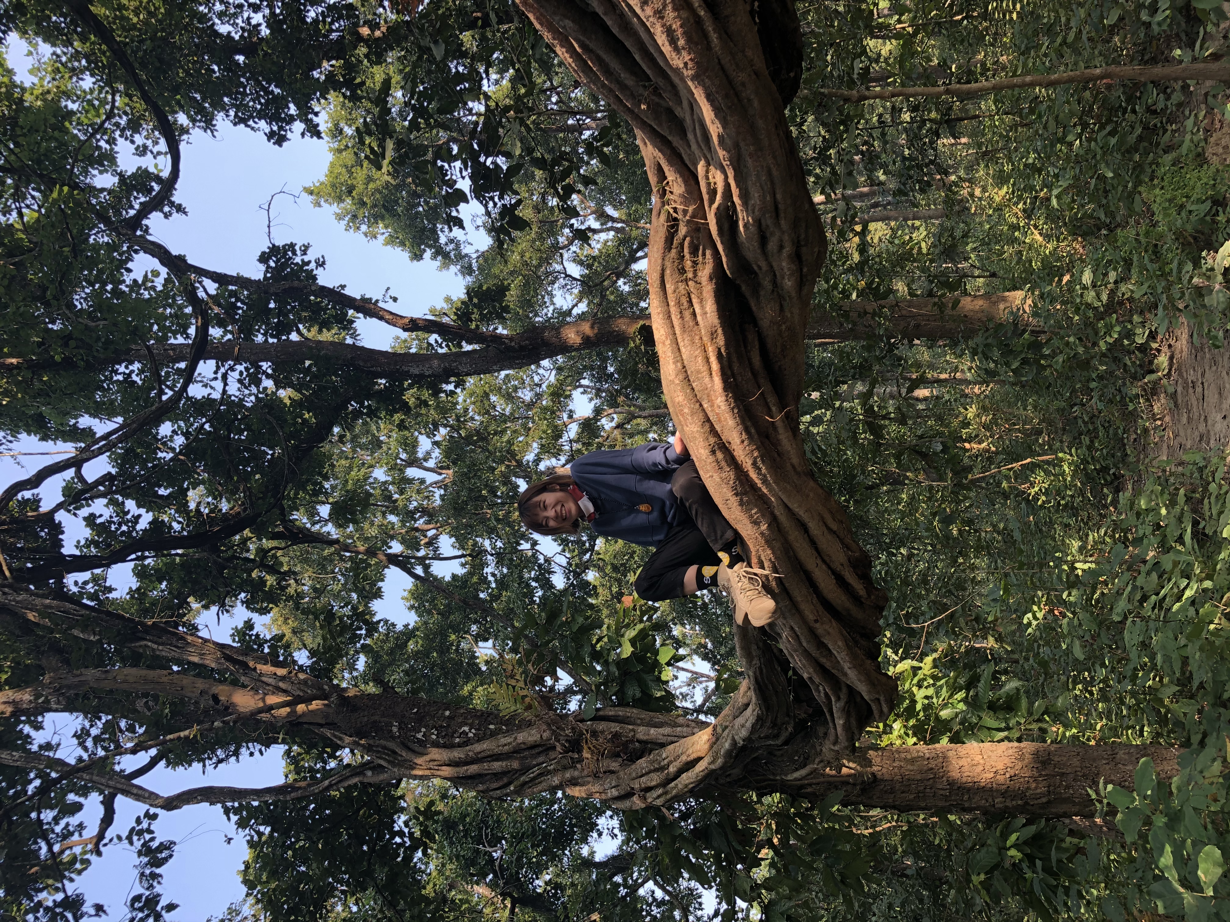 尼泊尔自由行第三天视频,尼泊尔自驾游纯玩路线定制