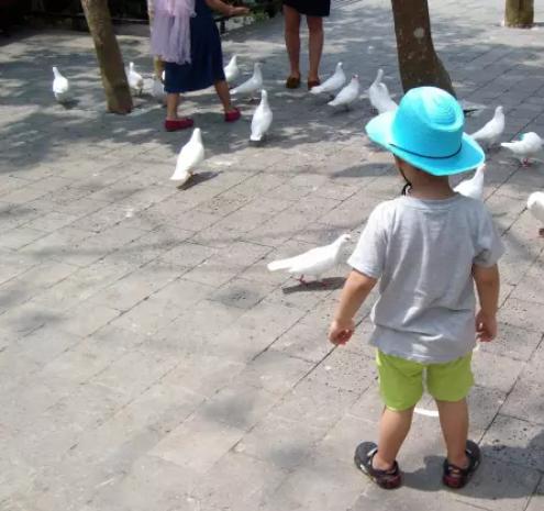 宝宝14个月走路o型腿怎么办,宝宝七个月腿不会扶走