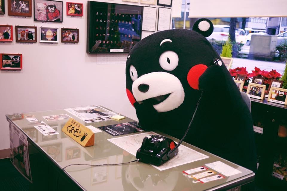 比大熊猫还濒危的小熊猫,比熊猫更稀有的小熊