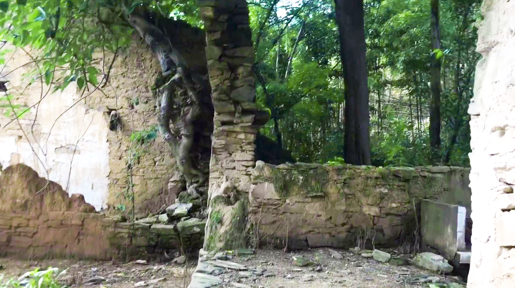 武汉周边最美古村一日游,旅游武汉这里藏着一座秘境森林