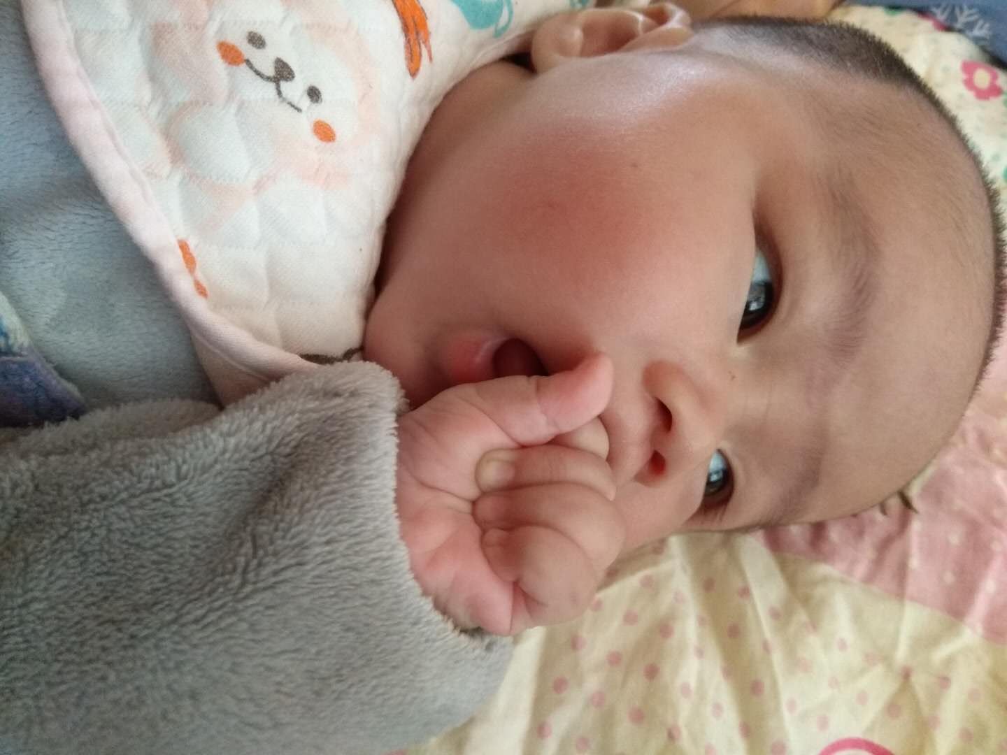 1岁多宝宝老是吃手是怎么回事,为啥宝宝喜欢吃手