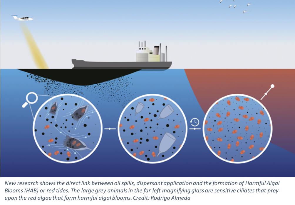 这种贝比眼镜蛇毒强80倍，海员食用后中毒身亡，为何还常被人吃