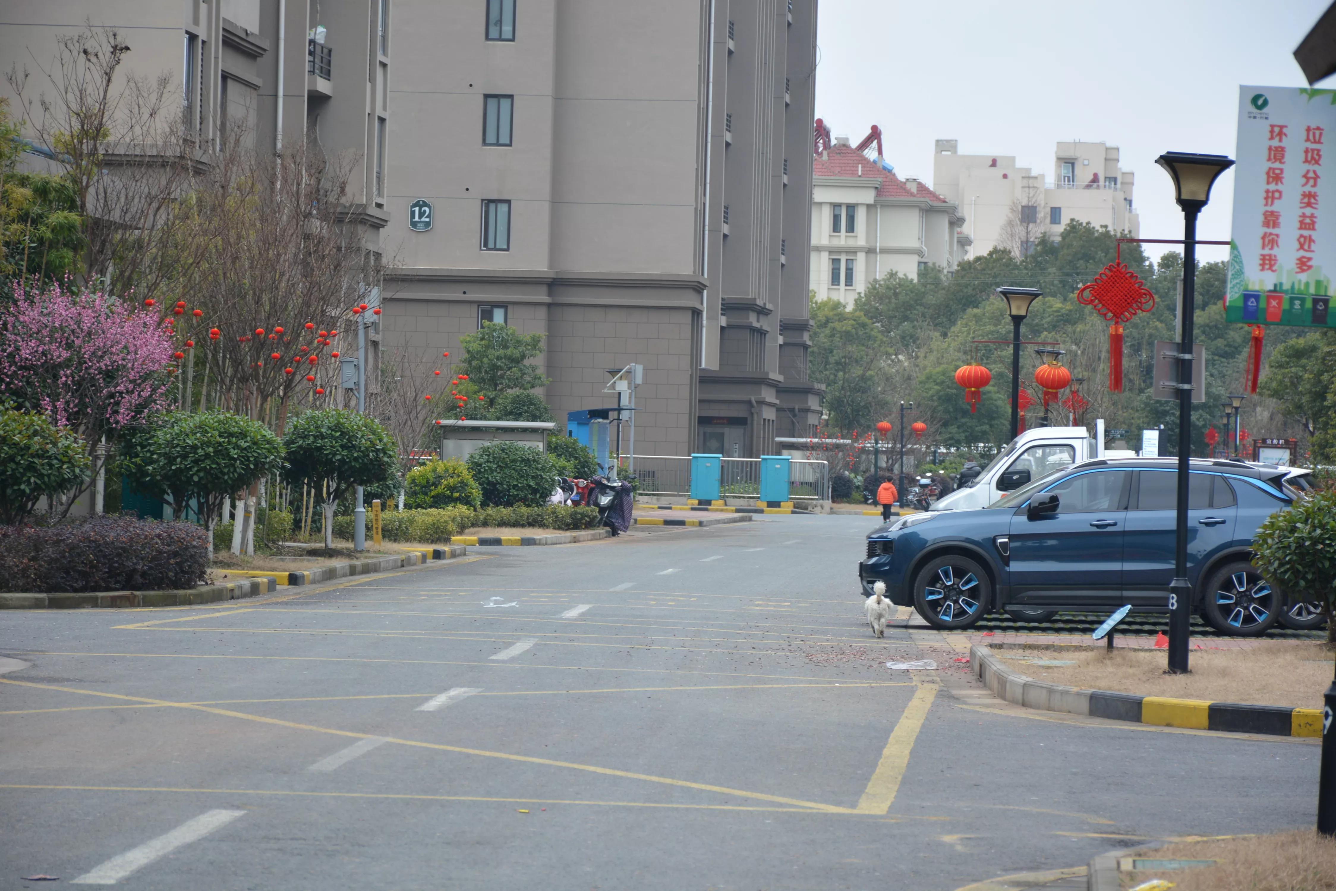 能坚持四季如春就好了（湖畔雅居的春天）