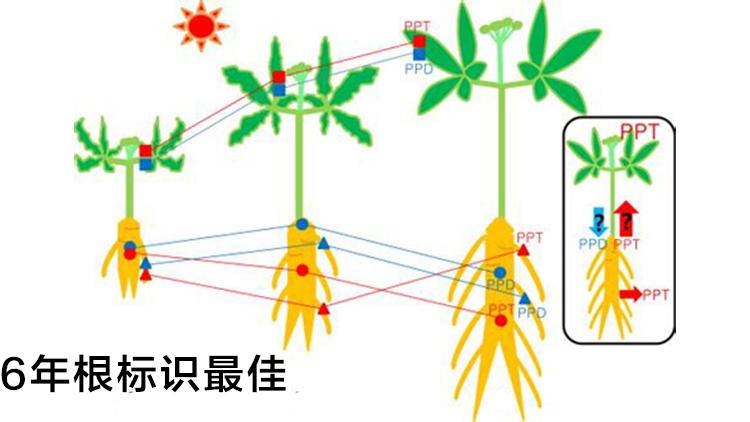 营养补充剂有多少种补法按什么量,营养补充剂怎么选