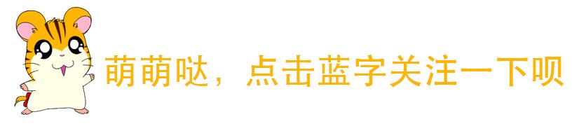 蒸鱼豉油蒸鲈鱼的做法,豉汁蒸鲈鱼的正确做法