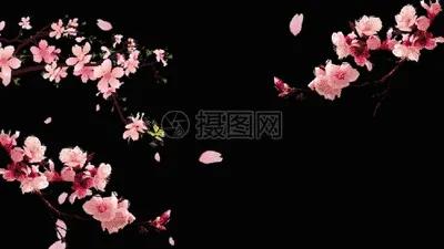 世界中诗旭月传媒.中诗国际文学总社（诗友合辑）