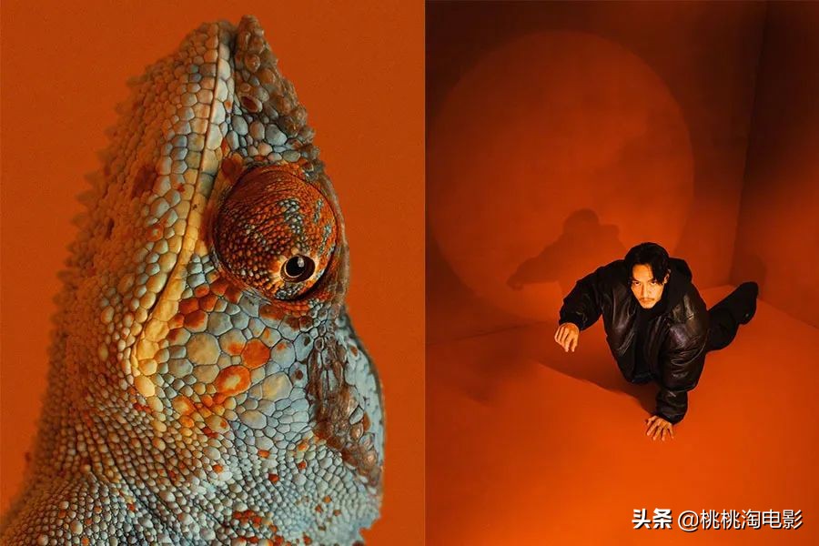 张震新片沙丘,张震图片写真