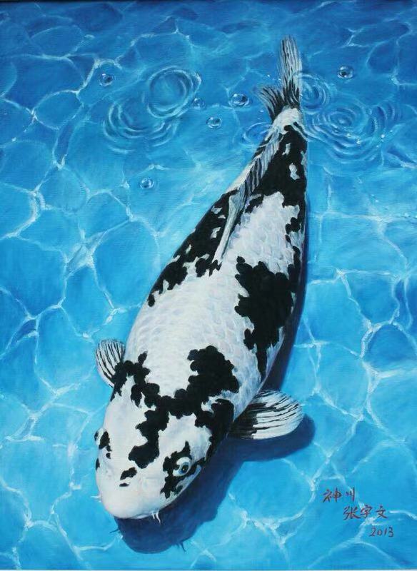 渔友张哥小视频,新鱼缸养锦鲤鱼正确的方法和技巧