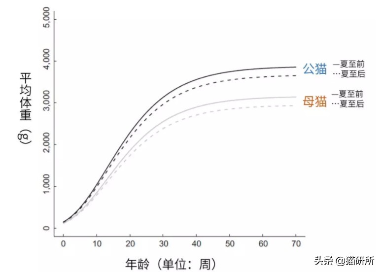 猫砂的100个常识,猫砂成分能被什么反应掉