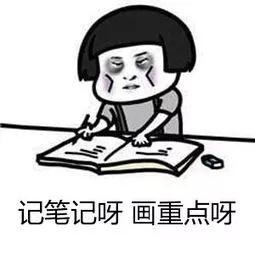 过海关被取消签证还能再申请吗,出国被海关劝返签证还能用吗