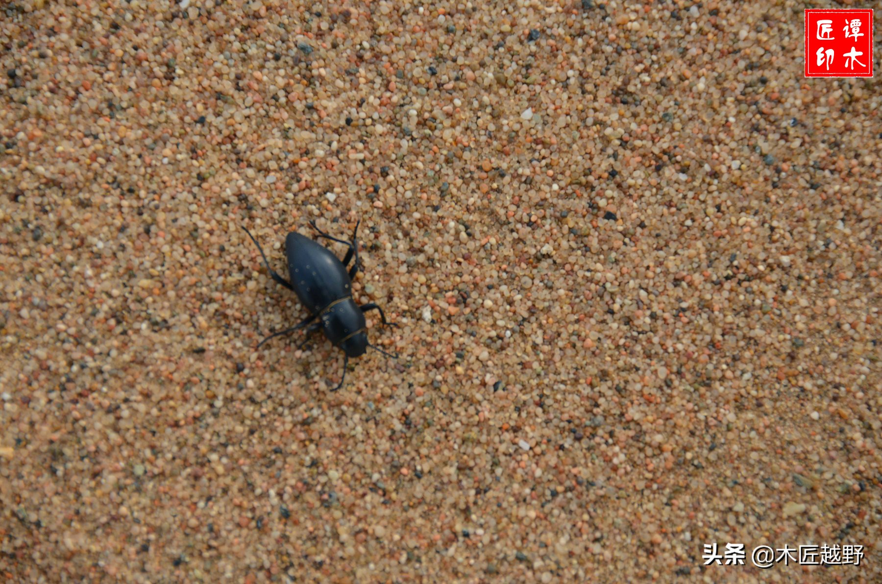 当木工学徒,当木匠的故事