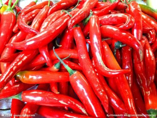 广西自制辣椒酱蒜蓉,自制辣椒酱蒜蓉可以放糖吗