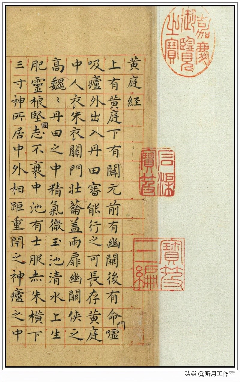 明朝祝允明草书前赤壁赋,明朝第一人祝允明书法