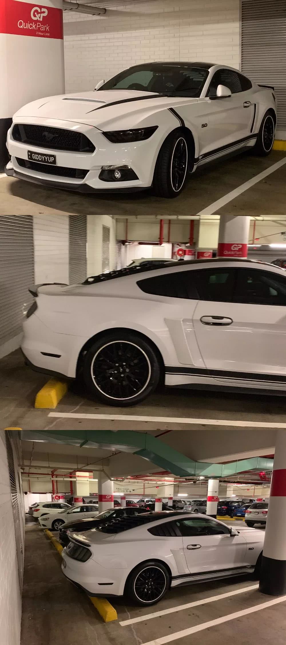 西澳大利亚珀斯有什么好玩的,西澳珀斯必去景点