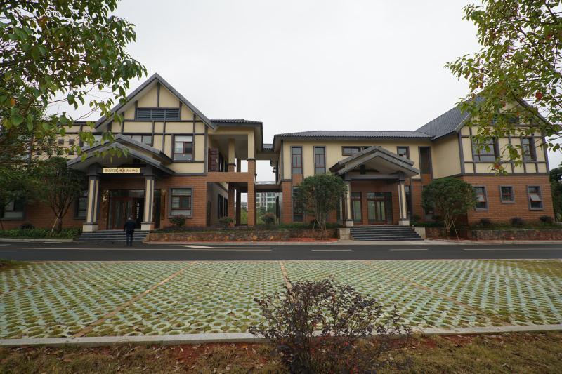 策马扬鞭奋新途,跃马扬鞭踏扶桑