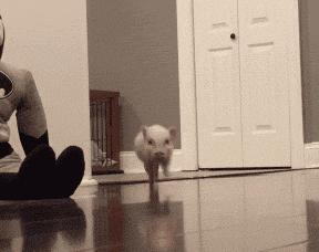 宛如人间仙境的温泉,世界美景治愈系露天温泉