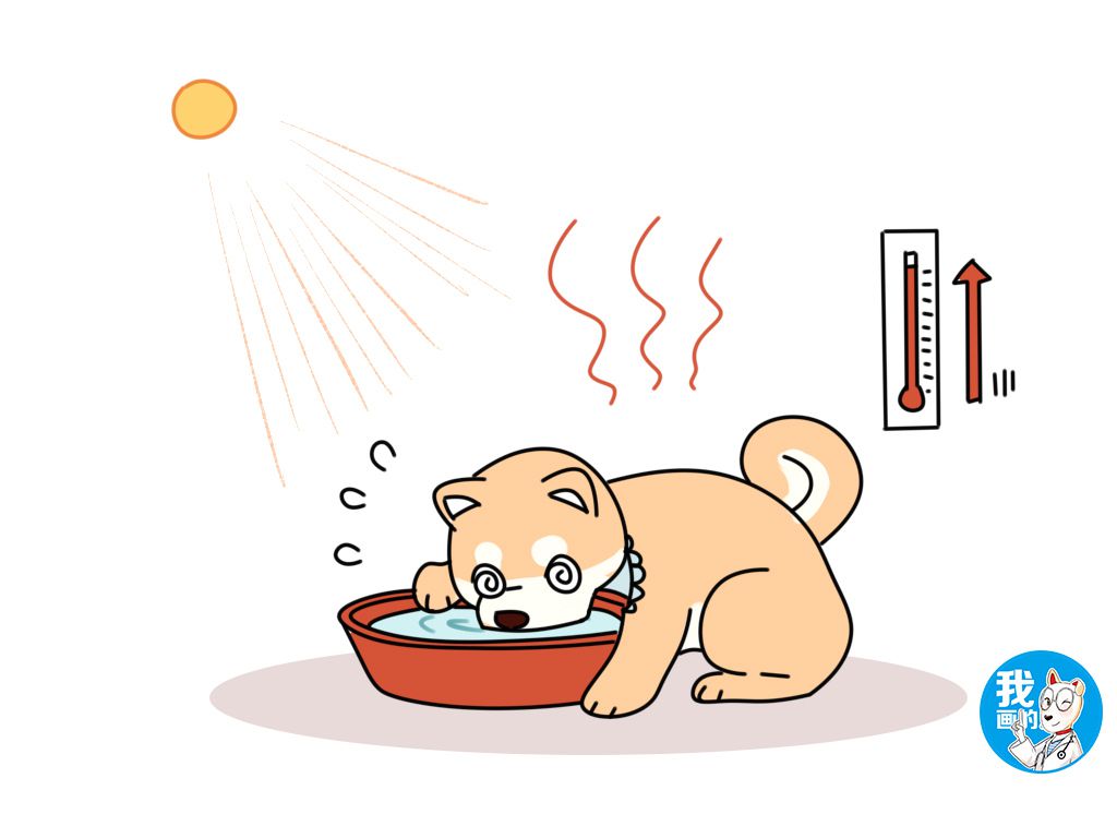 狗狗口渴的表现,狗狗喝水量异常增多