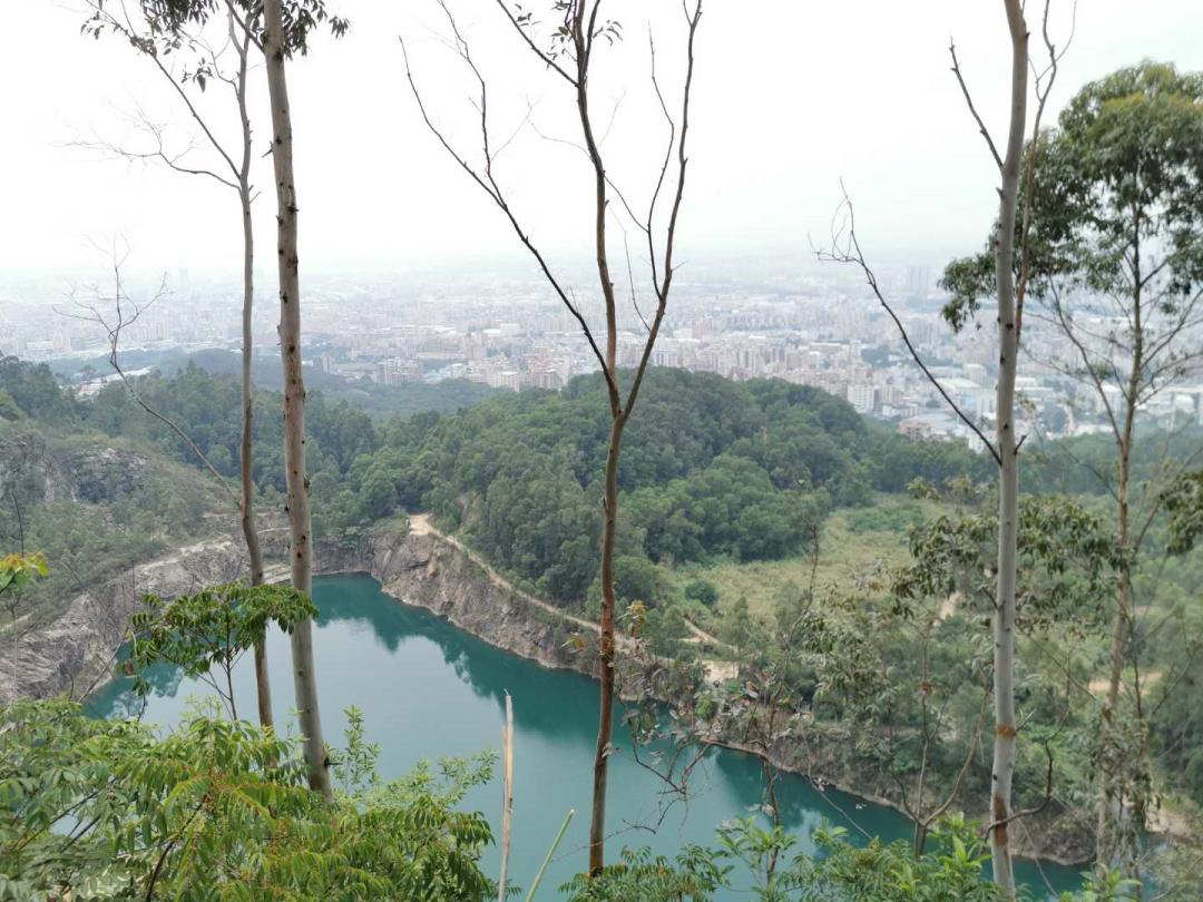 从城市到山林,从城市到田野