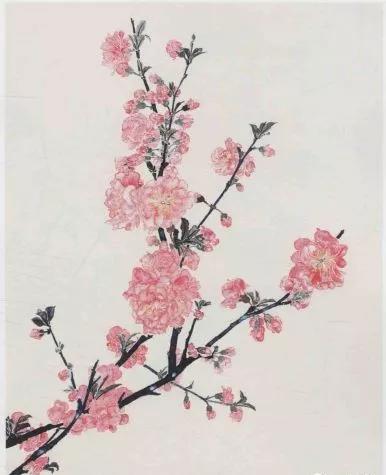 桃花的画法国画,小孩桃花画法国画