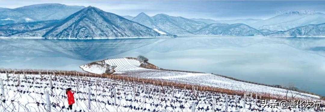 开门红销售额,开门红业绩