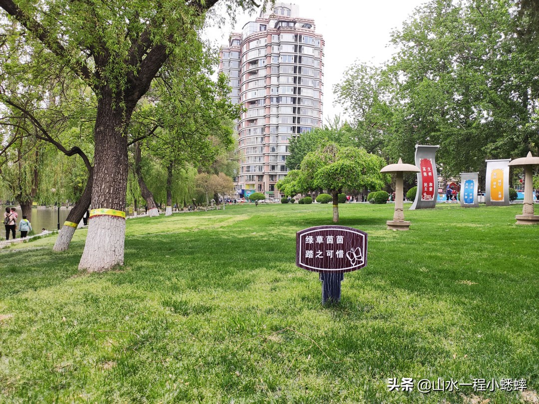 长安公园不愧是石家庄公园老大，牡丹花开真国色,游人如织来长安