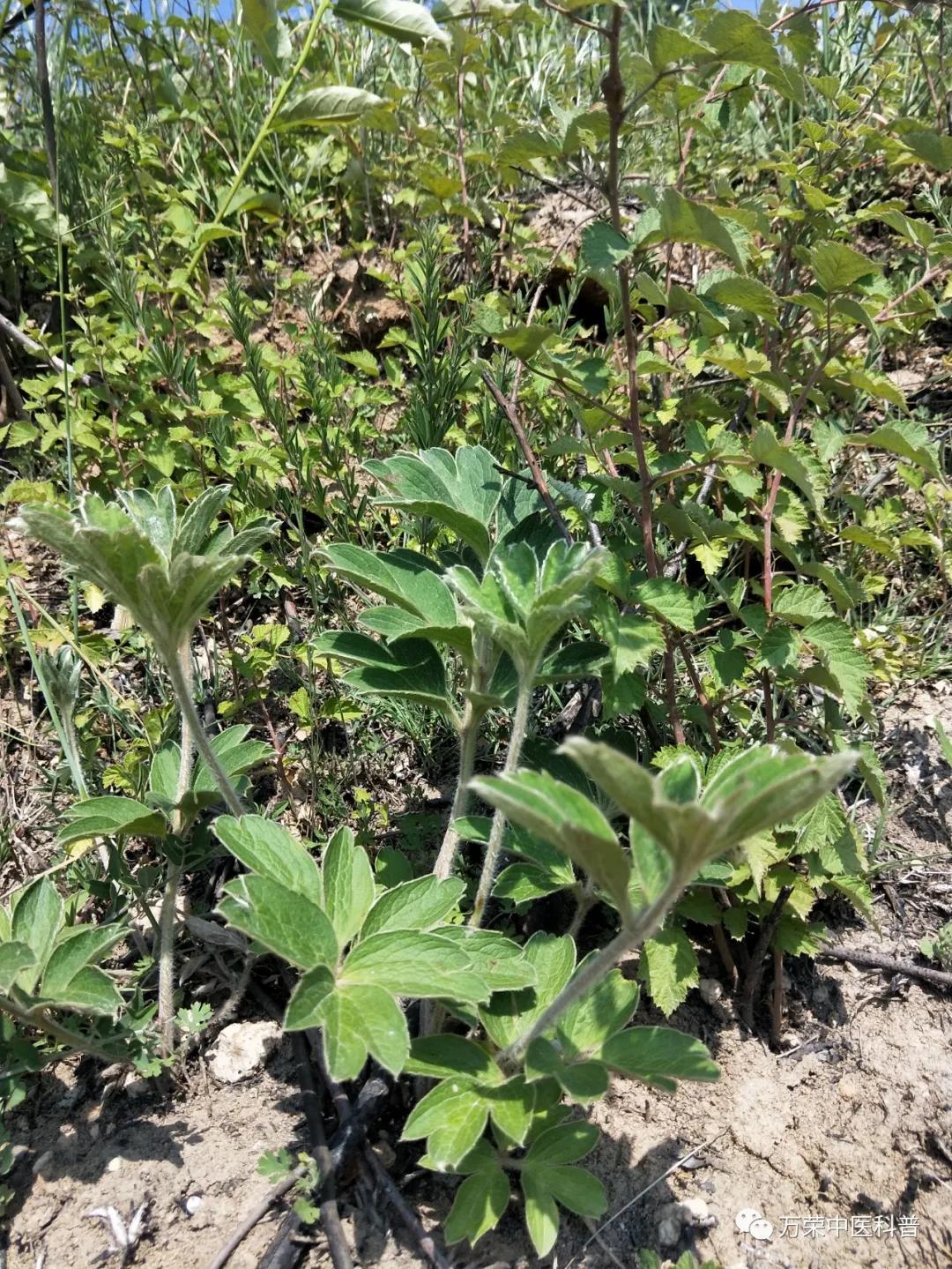 跟我回家在线免费看,跟我回家免费看