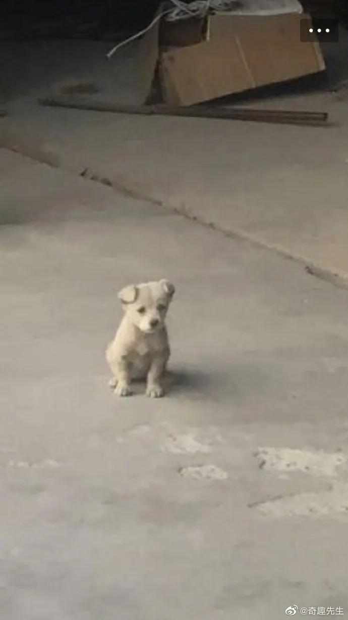 搞笑：黑客：遇到高手了，我刚刚进去就被T出来了