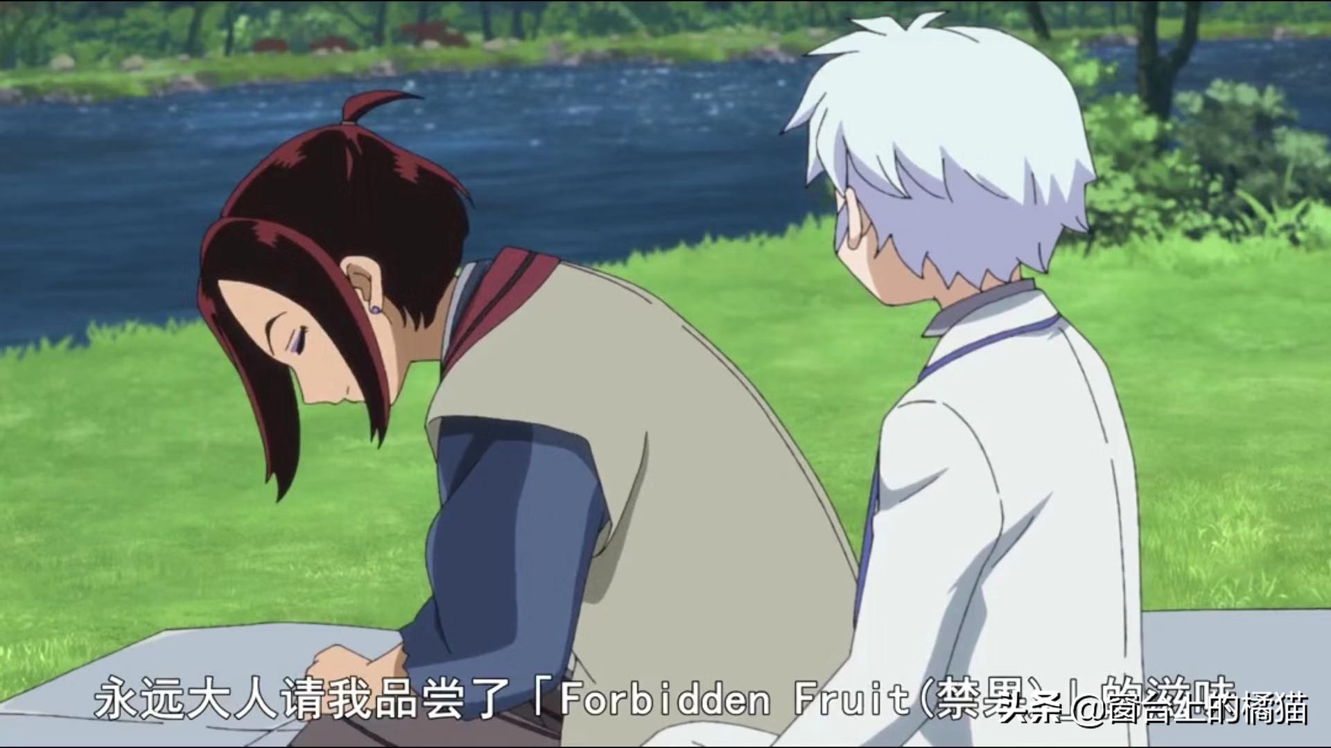 犬夜叉杀生丸出场的集数,夜叉姬麒麟丸vs杀生丸