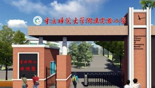 重庆小学费用到底多少钱,重庆的小学凭什么这么贵