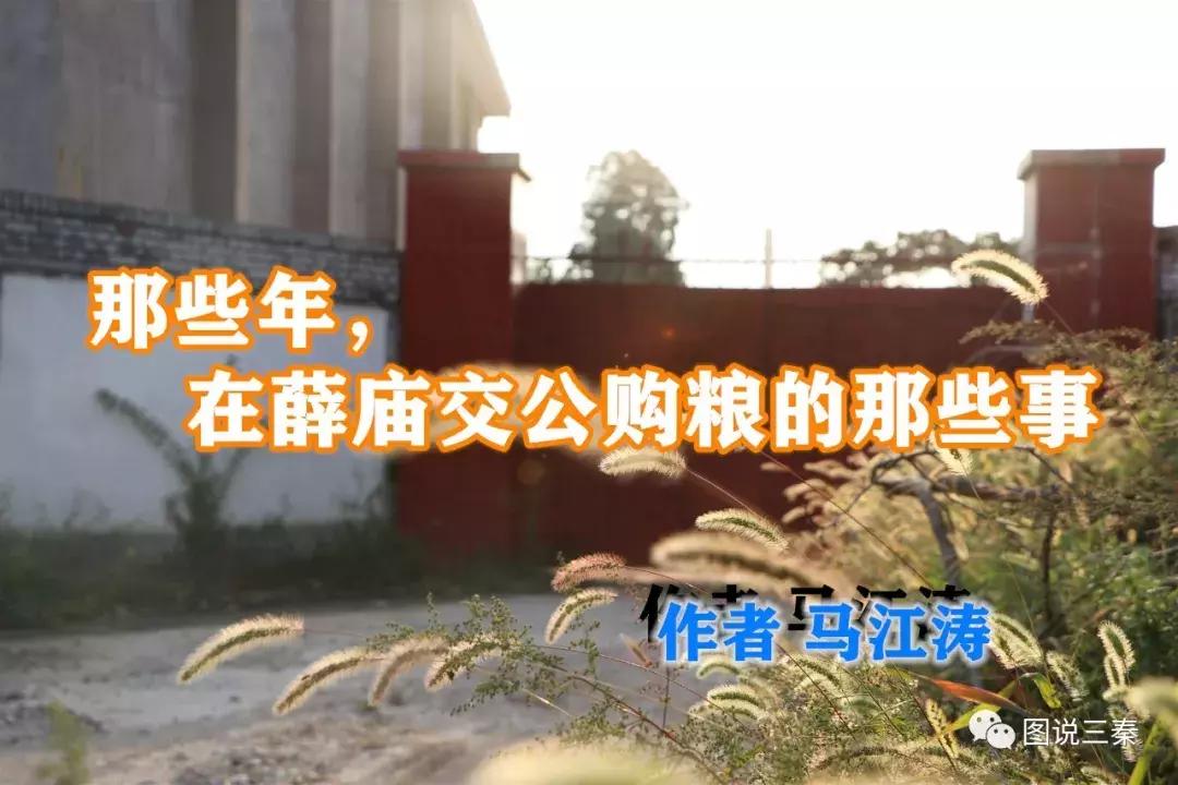 曾经人头攒动的“汤峪粮站”一个承载了汤峪几代人记忆的地方