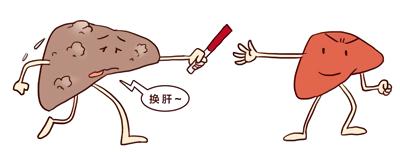 肝上的“小水泡”，需要治疗吗？