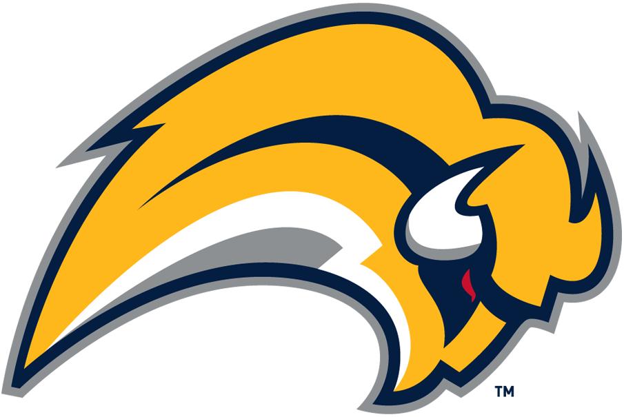 球衣刺绣队徽,球衣上的图案设计