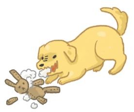 猫咪总吃异物怎么办妙招,猫咪吃纸箱频繁呕吐