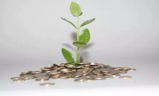 明知保险有坑为什么没有人去监管,为什么很多人对保险很反感