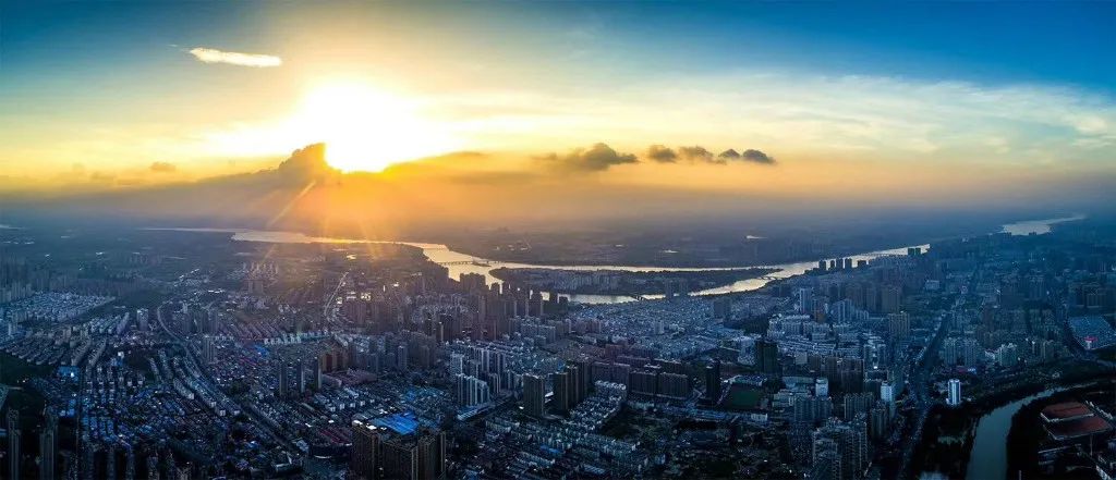 崇明岛西沙湿地公园视频,崇明西沙湿地公园芦苇荡