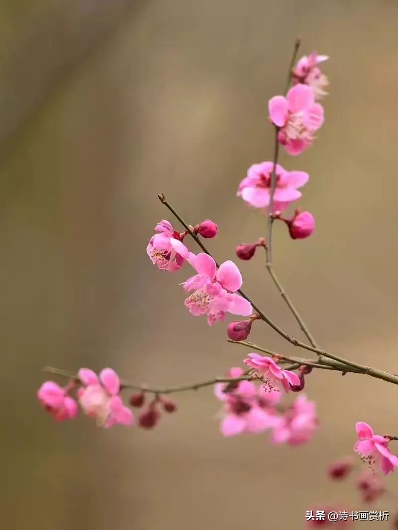 诗词格律十讲第三讲七言绝句,沉鱼落雁五律诗句