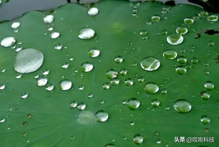 iPhone屏幕的特异功能，你知道吗？