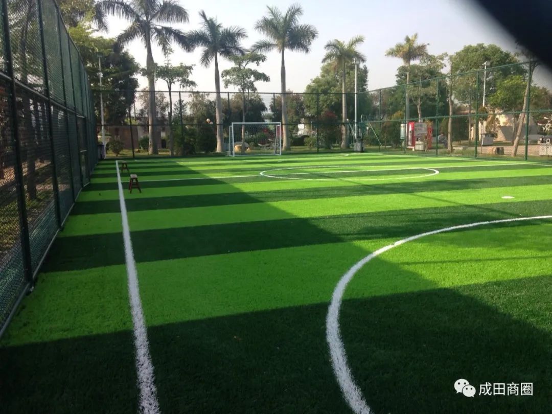 成田文体公园国庆,成田镇文体公园