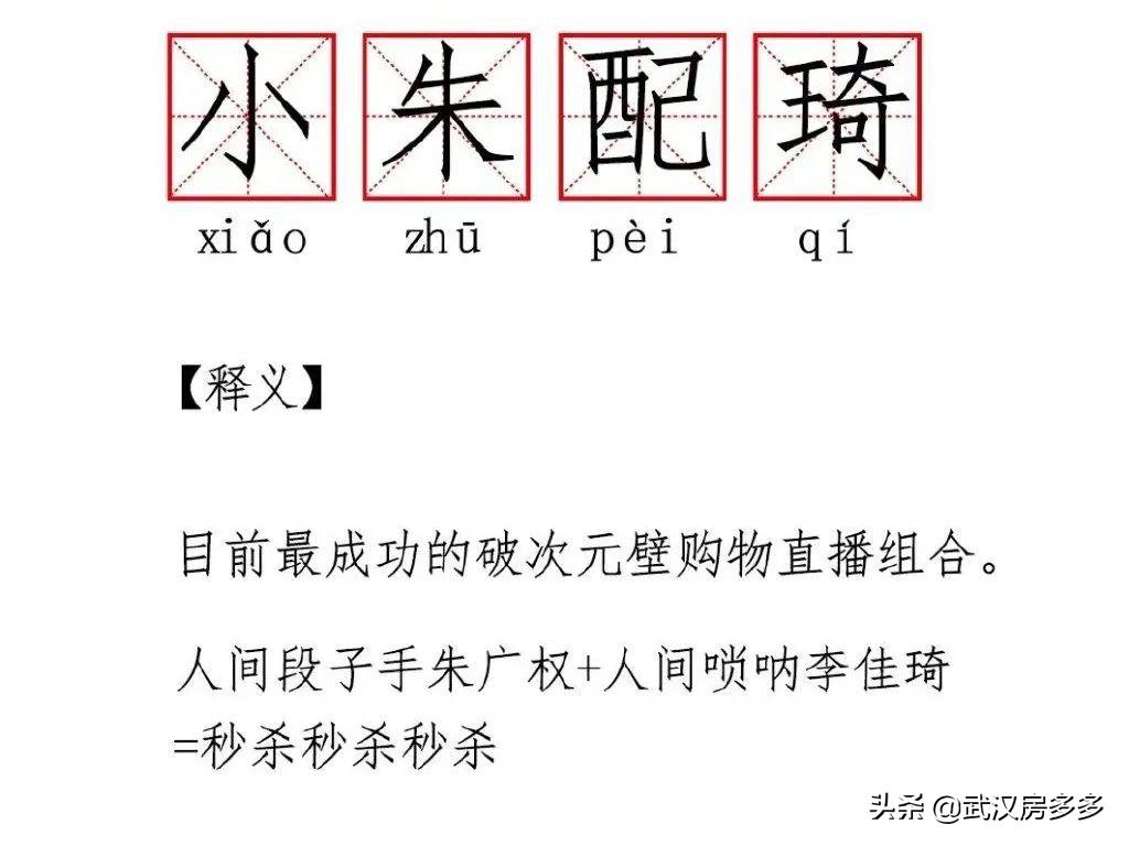 李佳琦讲古诗,飙段子央视
