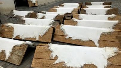 你半个朋友圈的微商，都在跪求河南这个6000人的“小破村”？