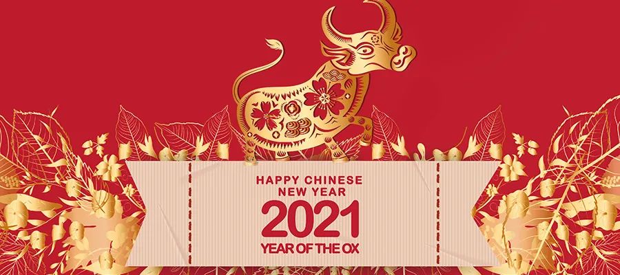 小狗是dog还是puppy,小狗是什么类别的动物