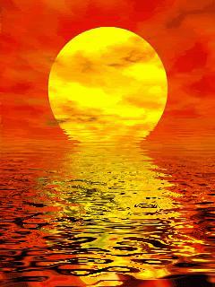 海边水中玫瑰花图片高清大图,最美山水花草倒影图片