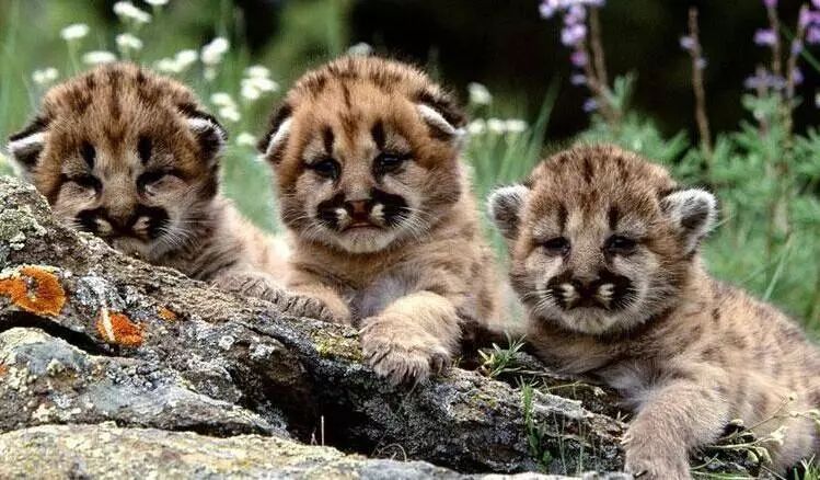 推荐上海地铁能乘到的游玩景点,上海地铁可直达的旅游景点